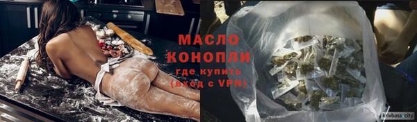 дмт Ельня