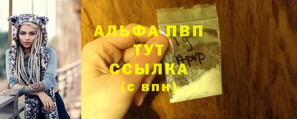 дмт Ельня