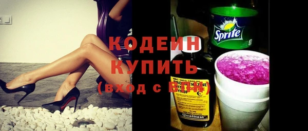 дмт Ельня