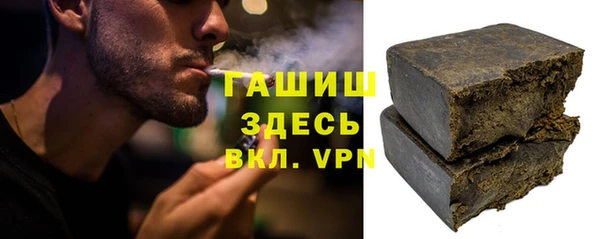 дмт Ельня
