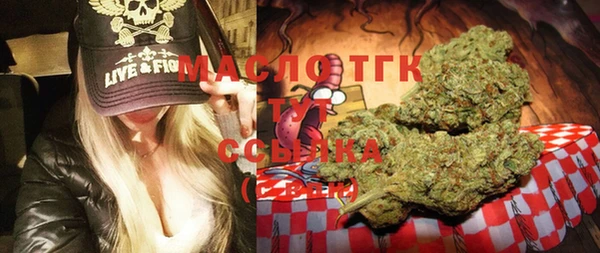 дмт Ельня