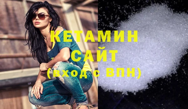 дмт Ельня