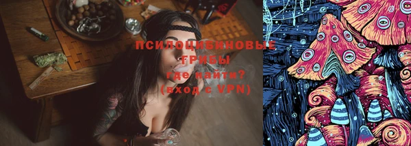 2c-b Елабуга
