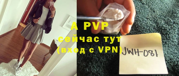 дмт Ельня