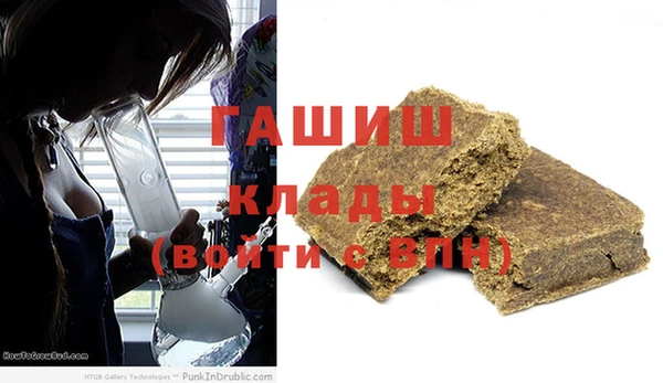 дмт Ельня