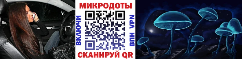 Галлюциногенные грибы мицелий  купить закладку  Избербаш 